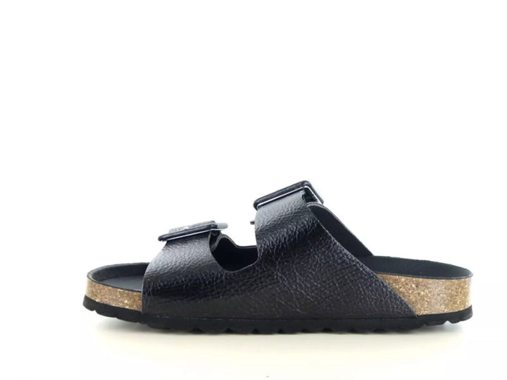 Verbenas Verbenas Randell