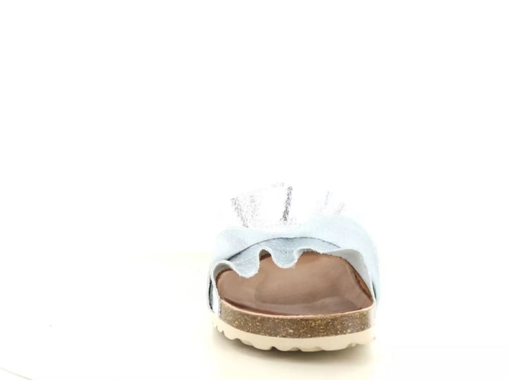 Verbenas Verbenas Rocio