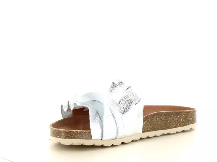 Verbenas Verbenas Rocio