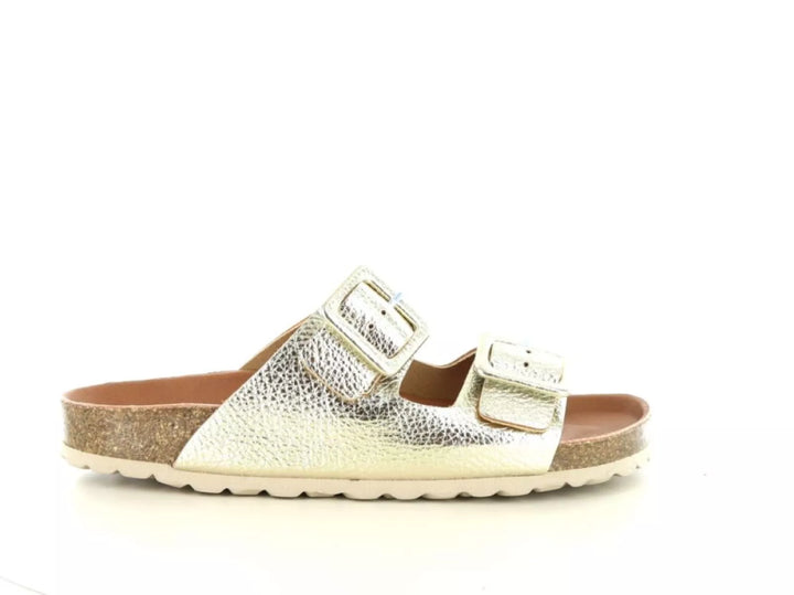 Verbenas Verbenas Randell