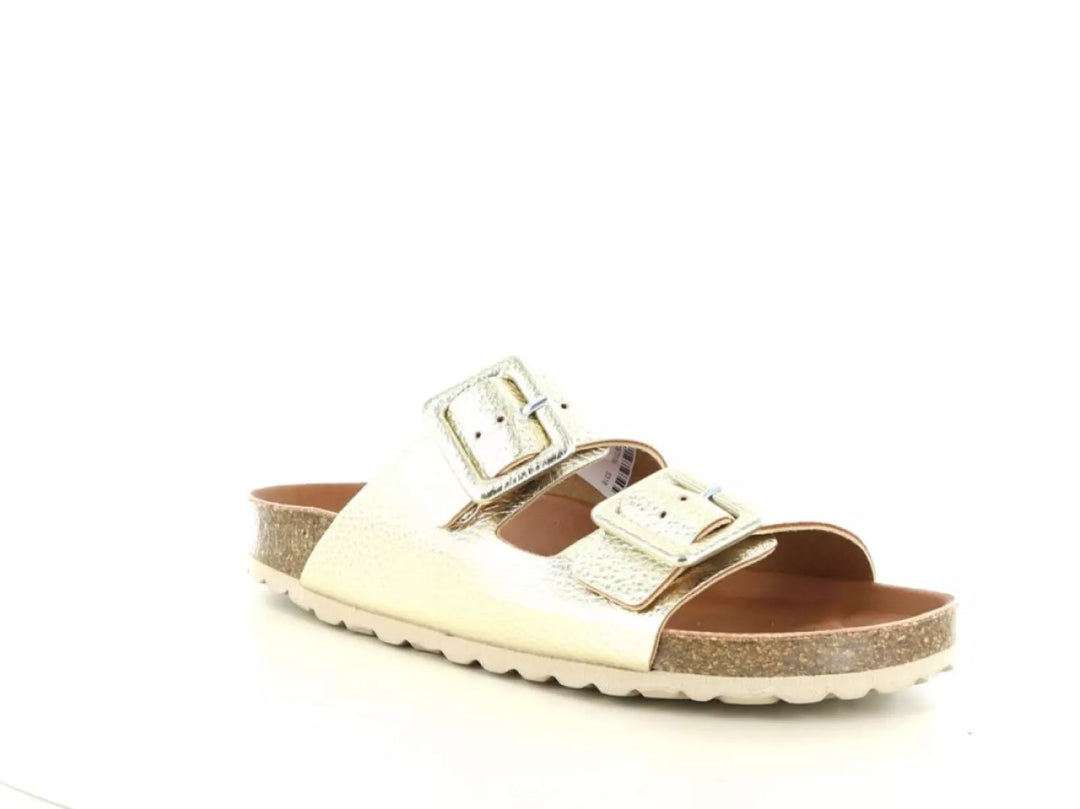 Verbenas Verbenas Randell