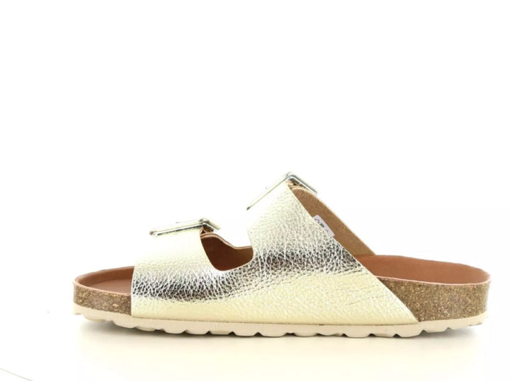 Verbenas Verbenas Randell