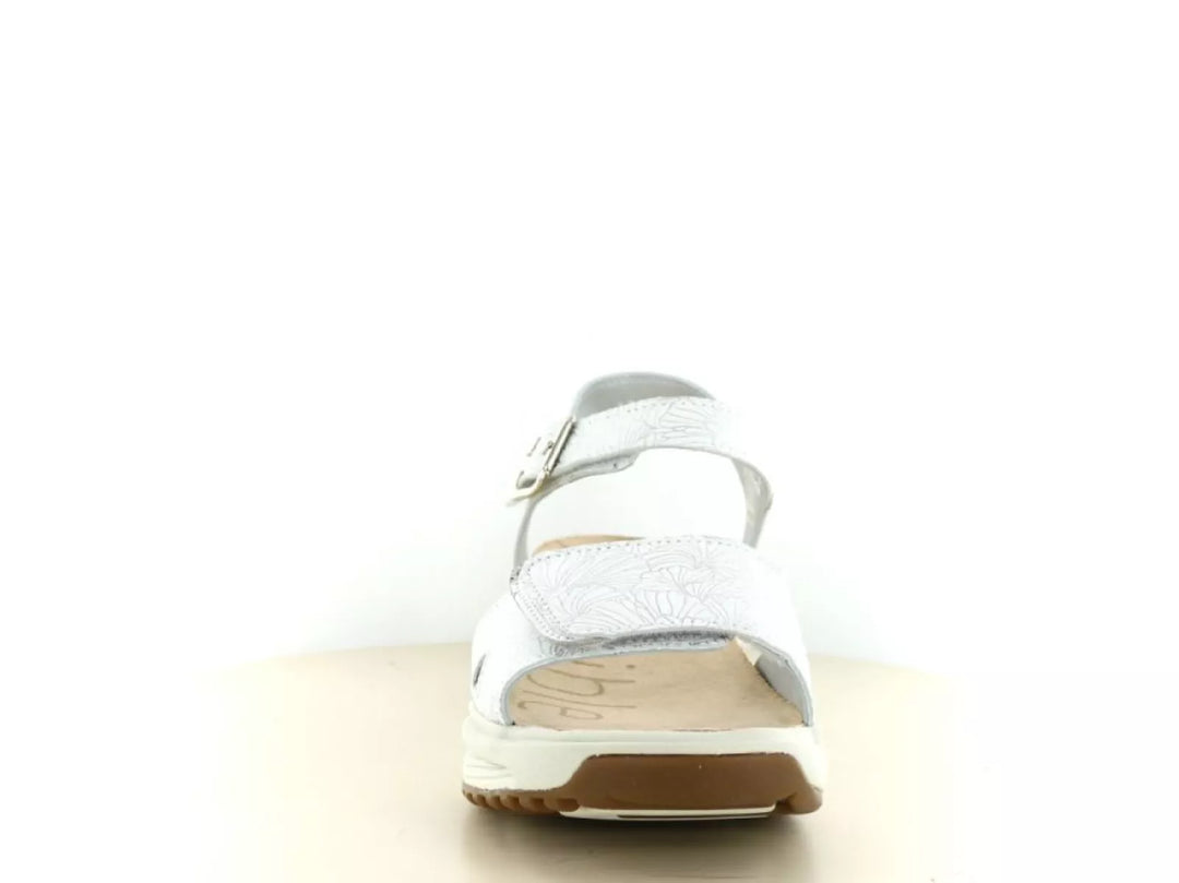 Xsensible Xsensible 30320.5 wijdte H