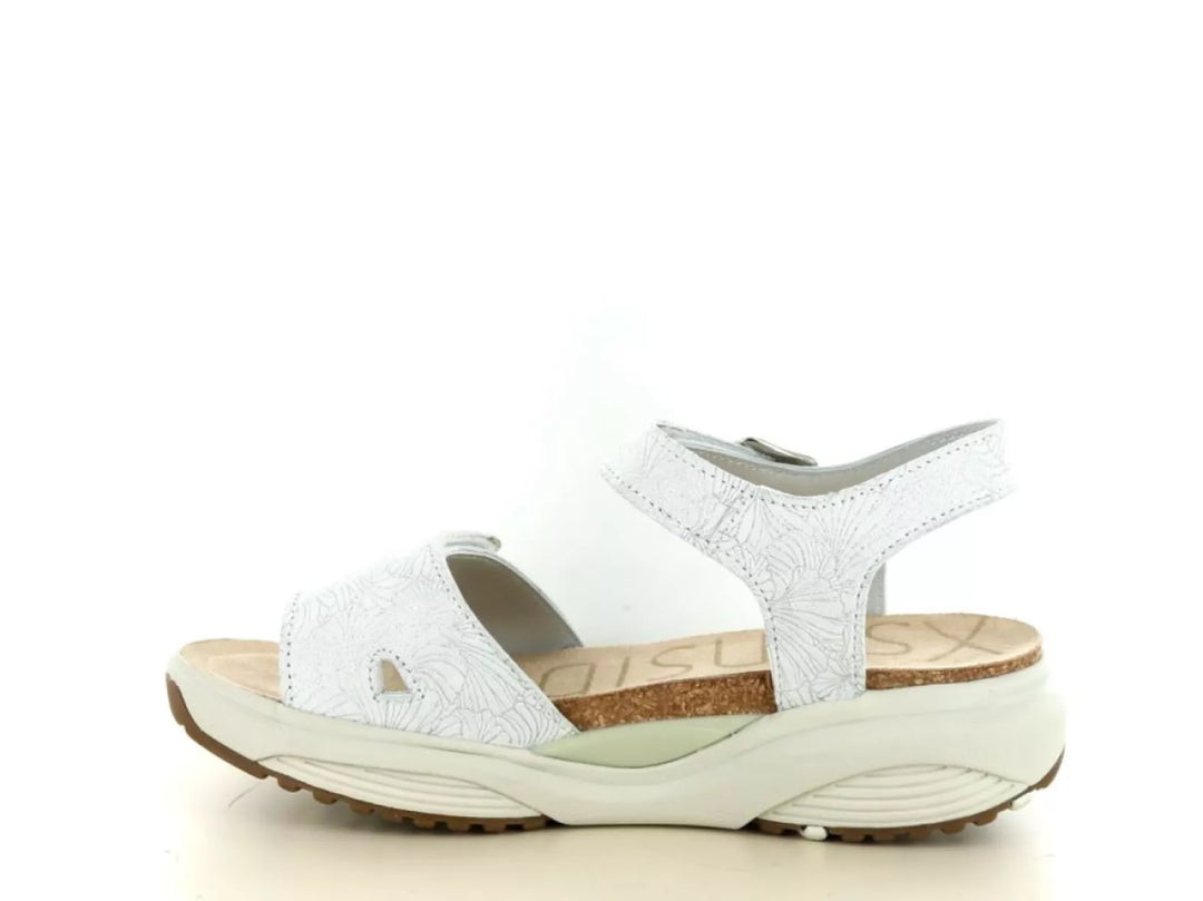 Xsensible Xsensible 30320.5 wijdte H