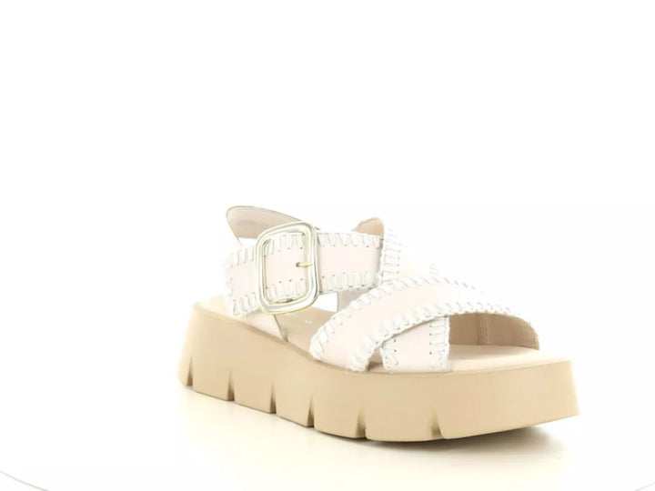 Gabor Gabor 64.751 wijdte G