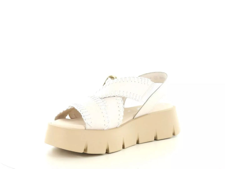 Gabor Gabor 64.751 wijdte G