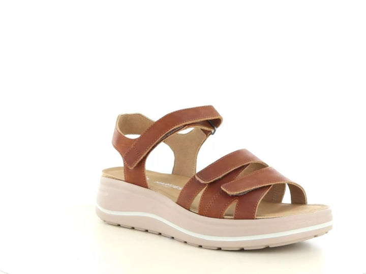 Hartjes Hartjes 132.2004 wijdte H