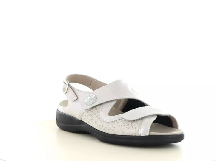 Solidus Solidus 73500 wijdte H