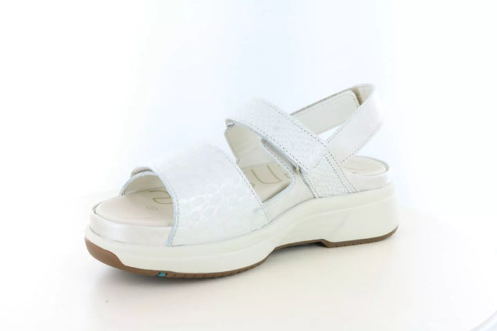 Xsensible Xsensible 30700.5 wijdte H