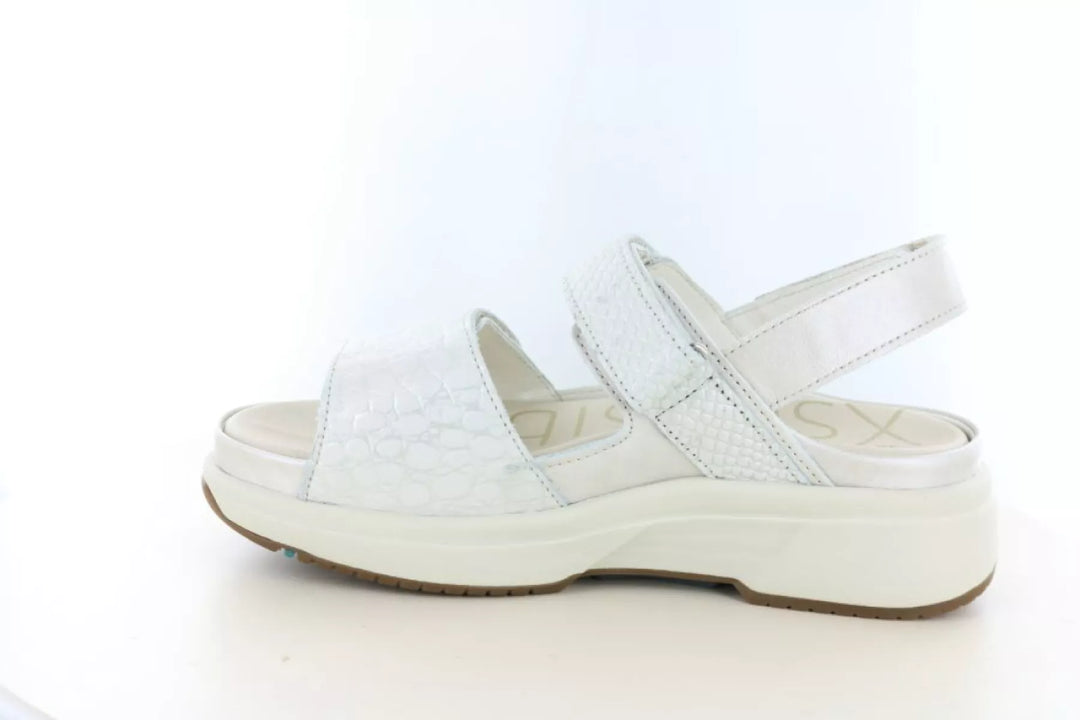 Xsensible Xsensible 30700.5 wijdte H