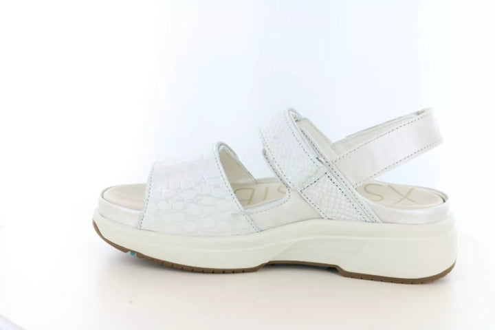 Xsensible Xsensible 30700.5 wijdte H