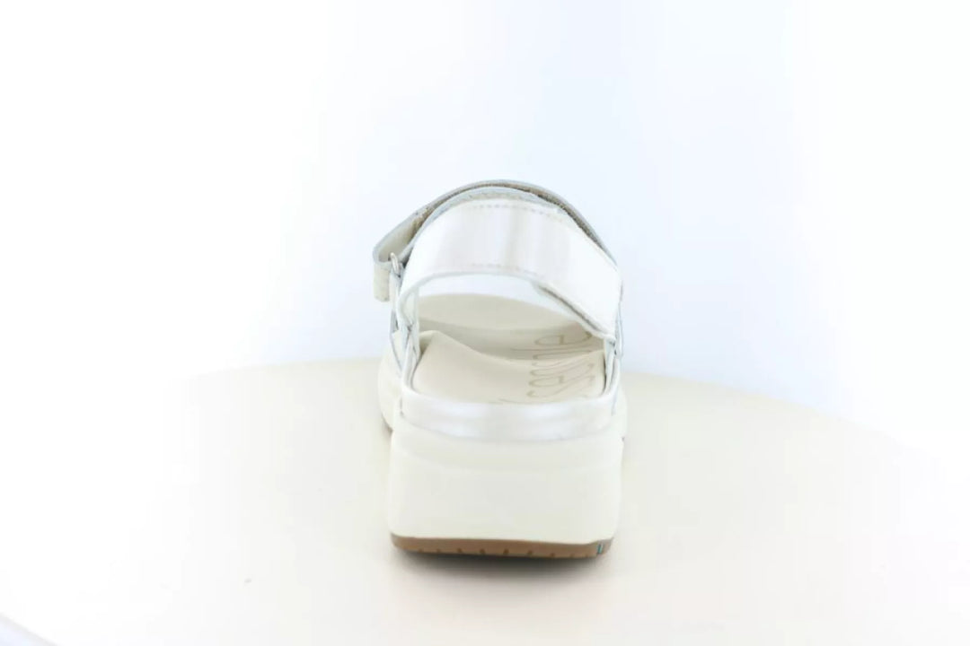 Xsensible Xsensible 30700.5 wijdte H