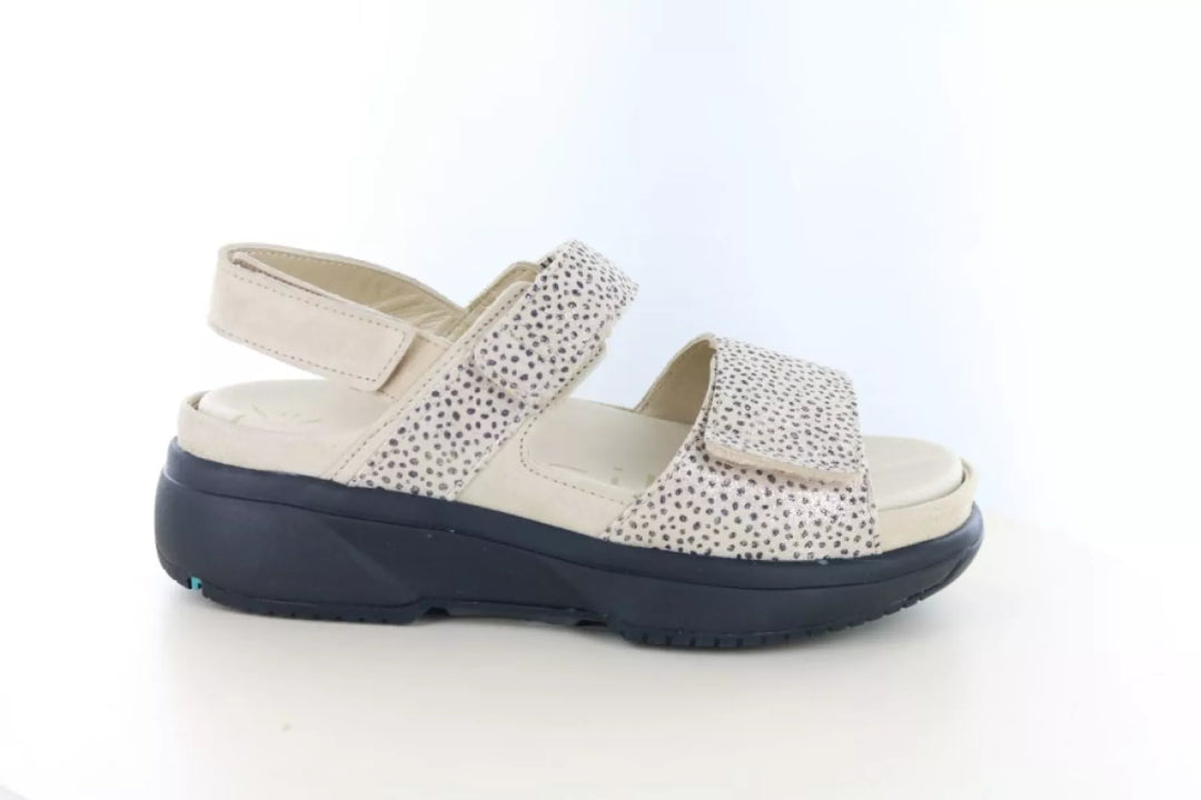 Xsensible Xsensible 30700.5 wijdte H