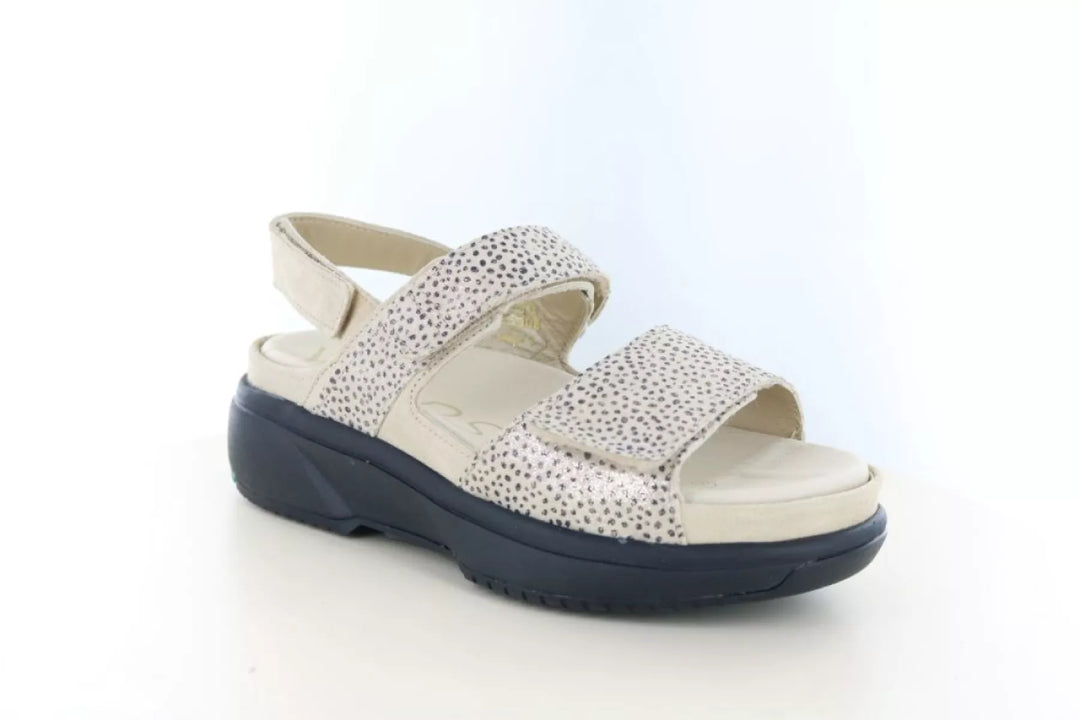 Xsensible Xsensible 30700.5 wijdte H