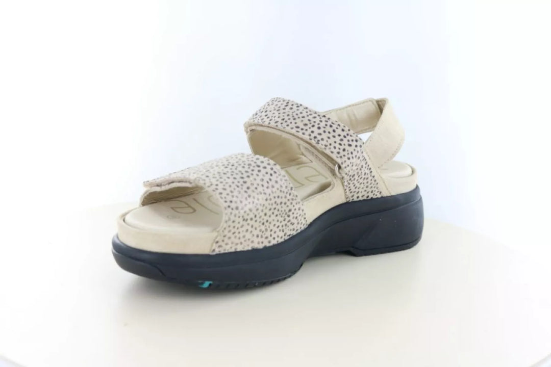 Xsensible Xsensible 30700.5 wijdte H