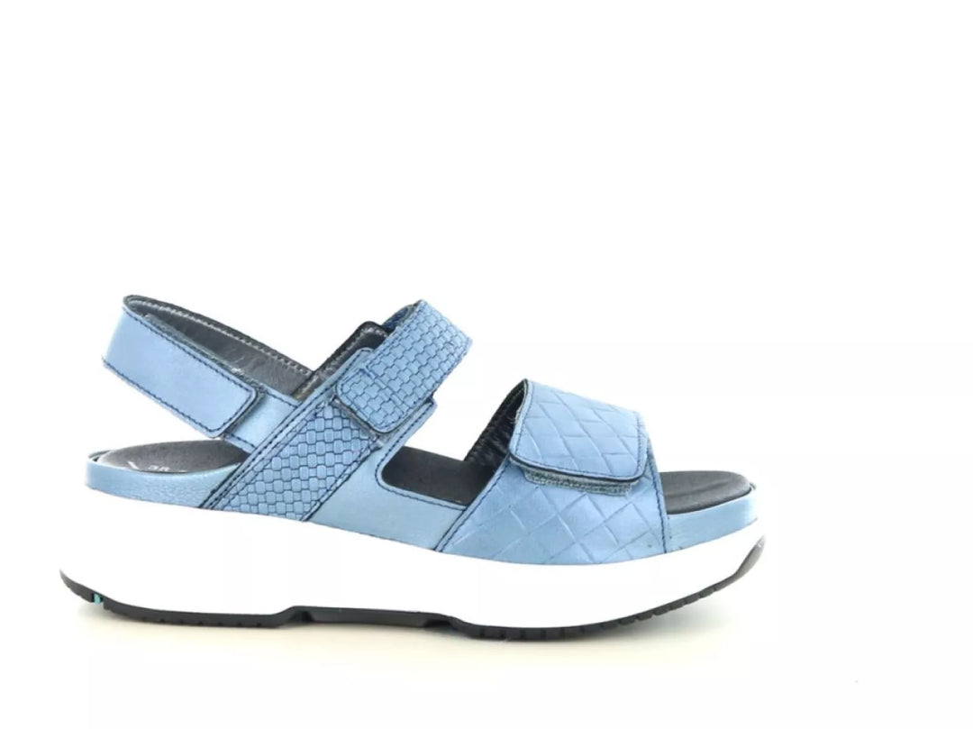 Xsensible Xsensible 30700.5 wijdte H