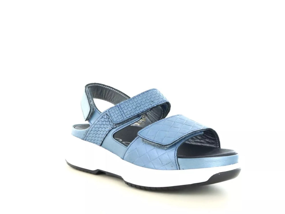 Xsensible Xsensible 30700.5 wijdte H