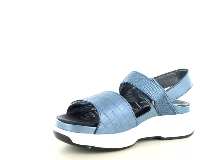 Xsensible Xsensible 30700.5 wijdte H