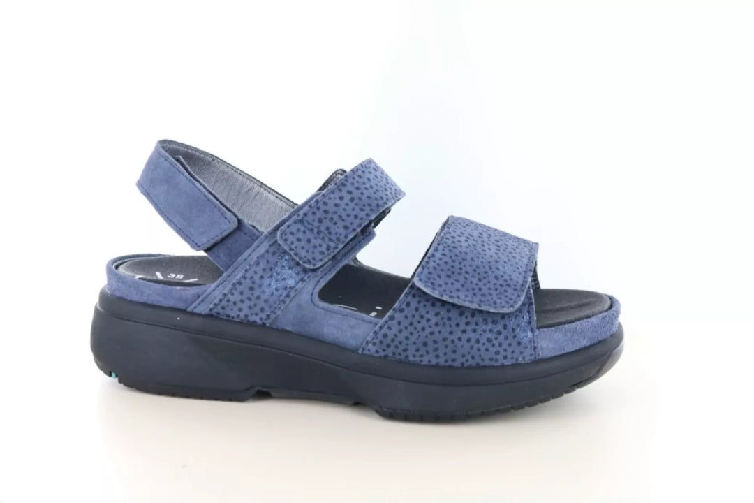 Xsensible Xsensible 30700.5 wijdte H