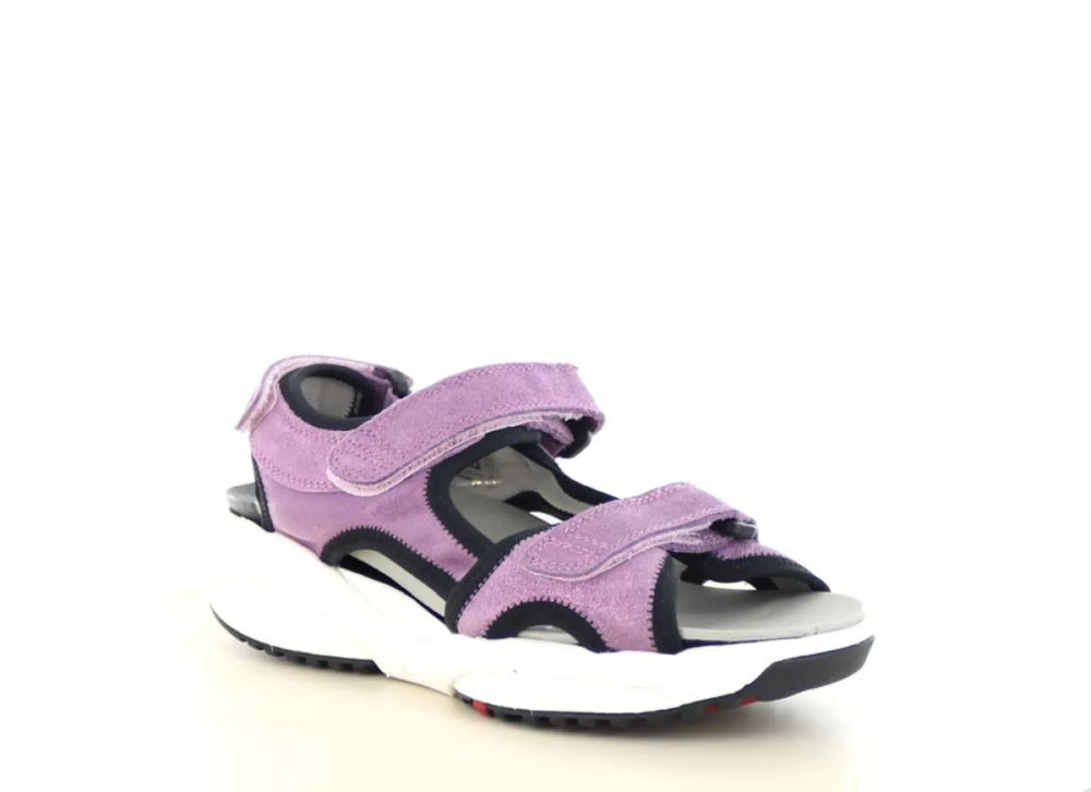 Xsensible Xsensible 30229.5 wijdte H