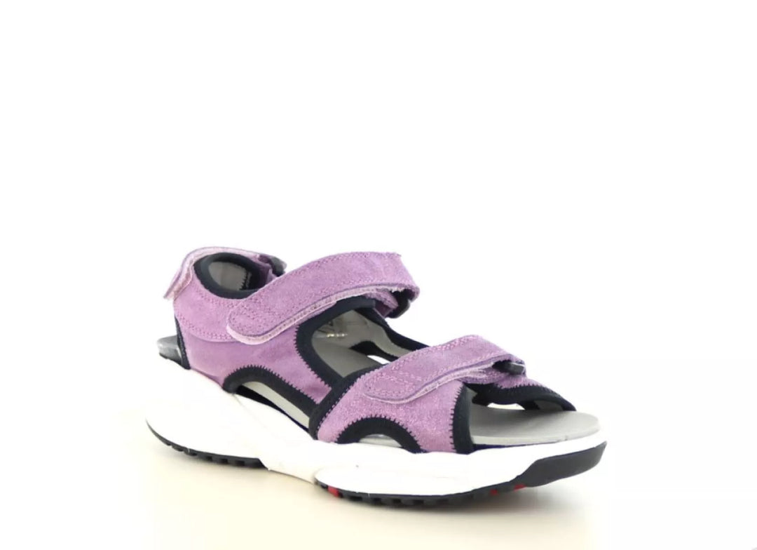 Xsensible Xsensible 30229.5 wijdte H