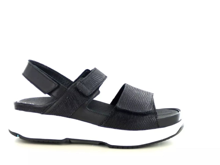 Xsensible Xsensible 30700.5 wijdte H