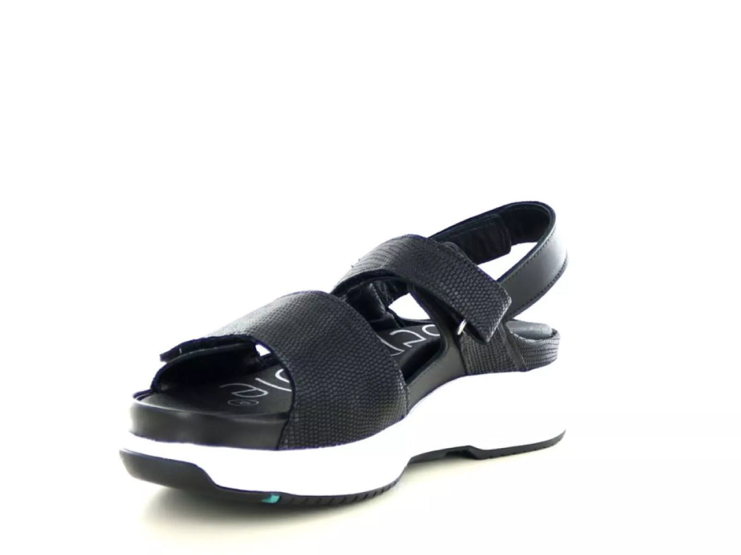 Xsensible Xsensible 30700.5 wijdte H