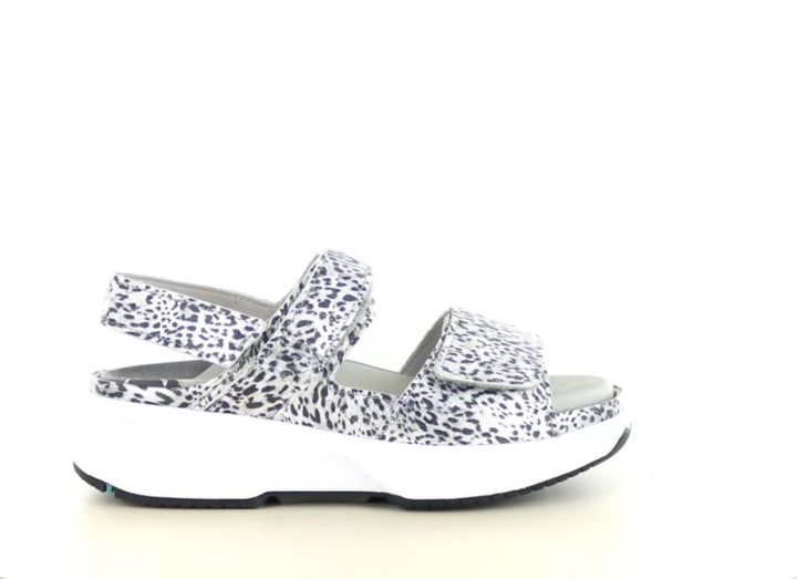 Xsensible Xsensible 30700.5 wijdte H