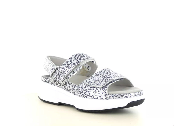 Xsensible Xsensible 30700.5 wijdte H