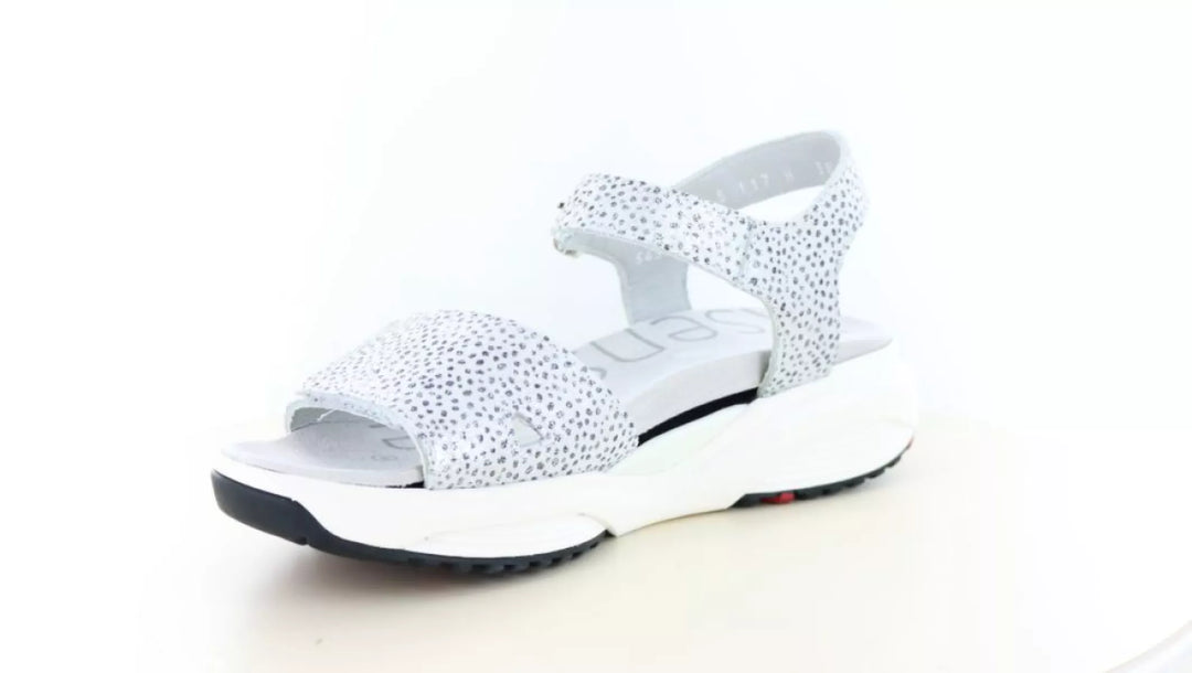 Xsensible Xsensible 30312.5 wijdte H