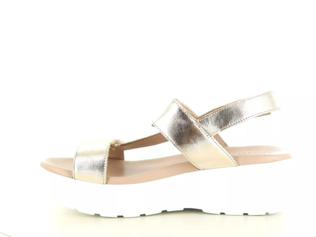 Panama Jack Panama Jack Noor Shine