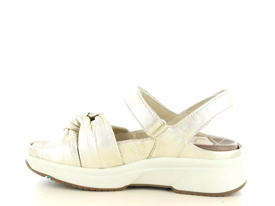 Xsensible Xsensible 30705.5 wijdte H