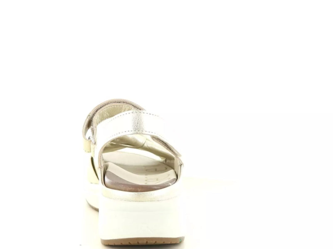 Xsensible Xsensible 30705.5 wijdte H