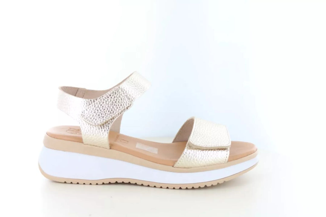 O! my Sandals O! my Sandals 5942