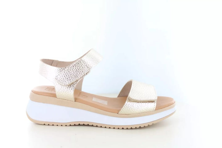 O! my Sandals O! my Sandals 5942