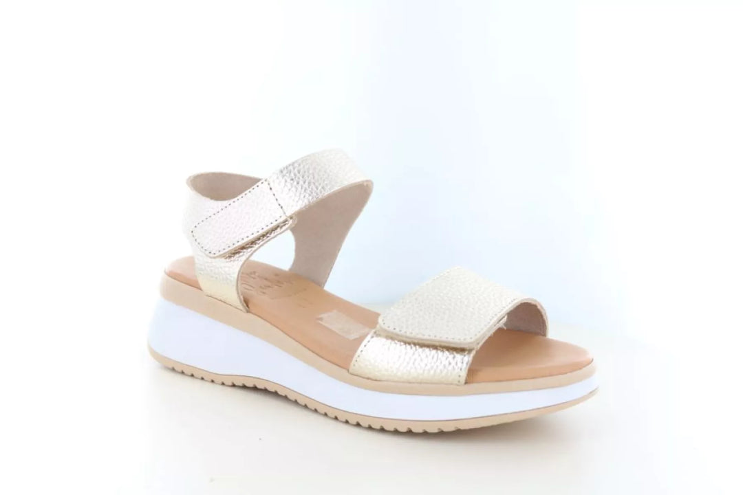 O! my Sandals O! my Sandals 5942