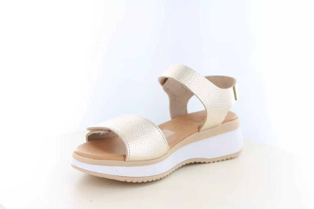 O! my Sandals O! my Sandals 5942