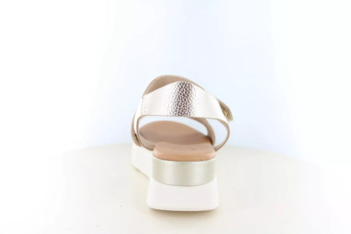 O! my Sandals O! my Sandals 5962