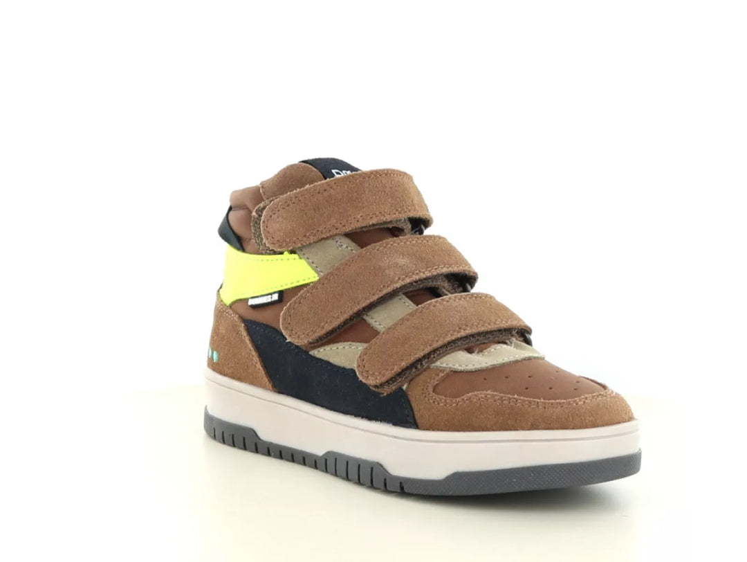 Bunnies Bunnies Benjamin Baas