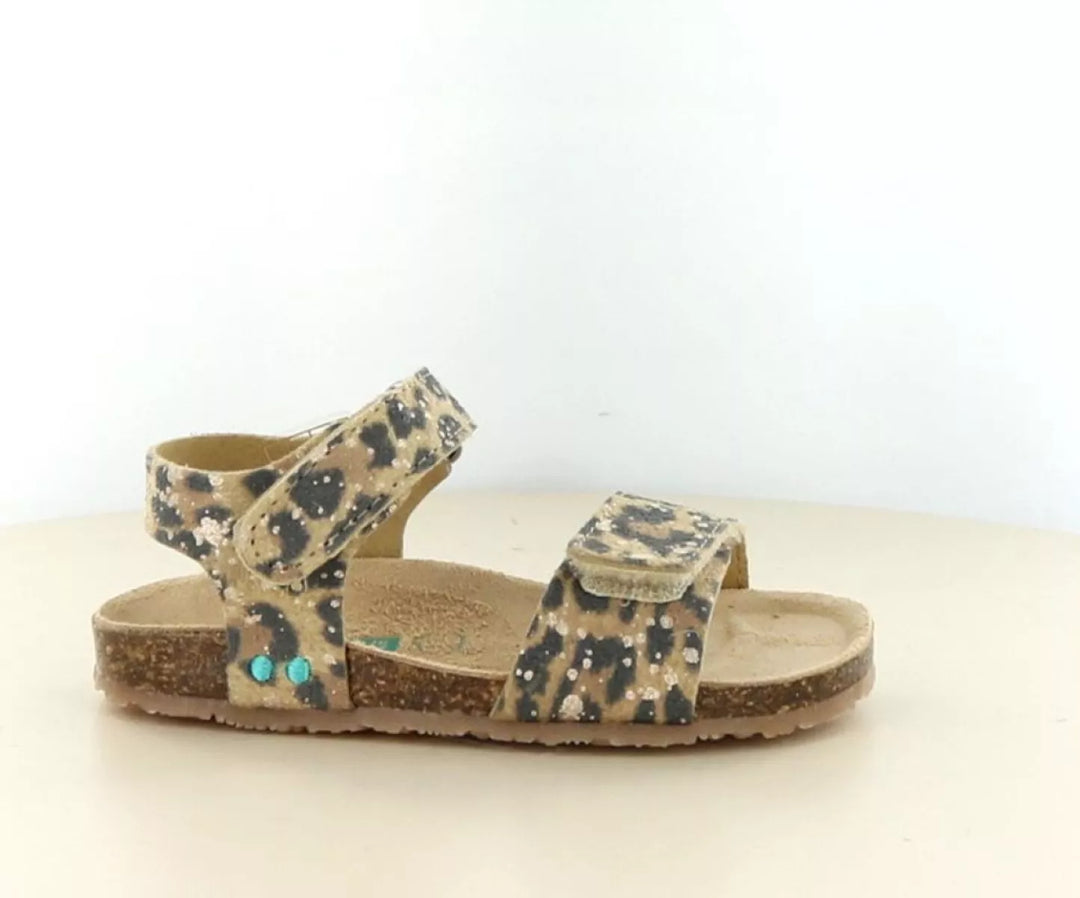 Bunnies Bunnies Bimi Beach