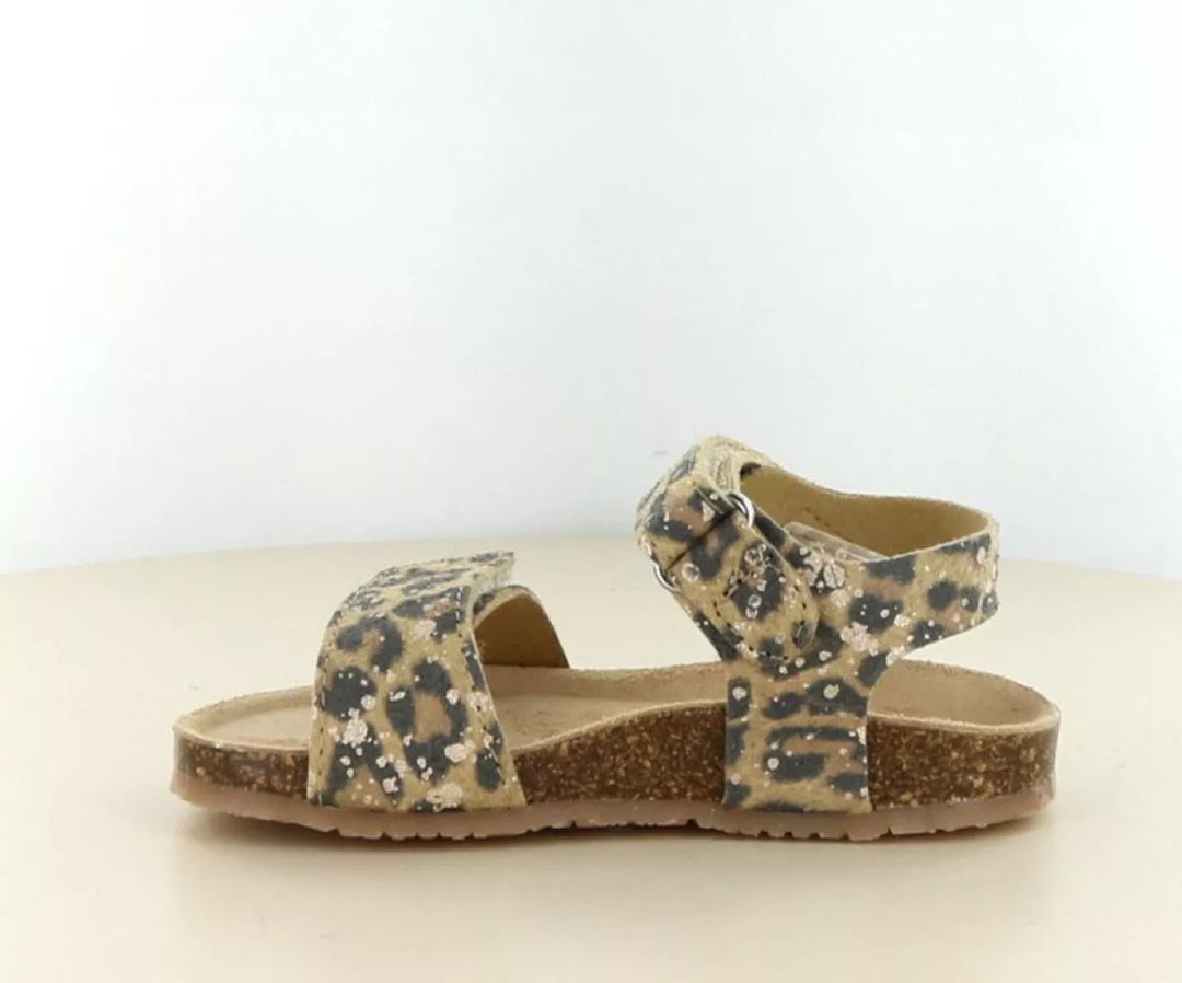 Bunnies Bunnies Bimi Beach