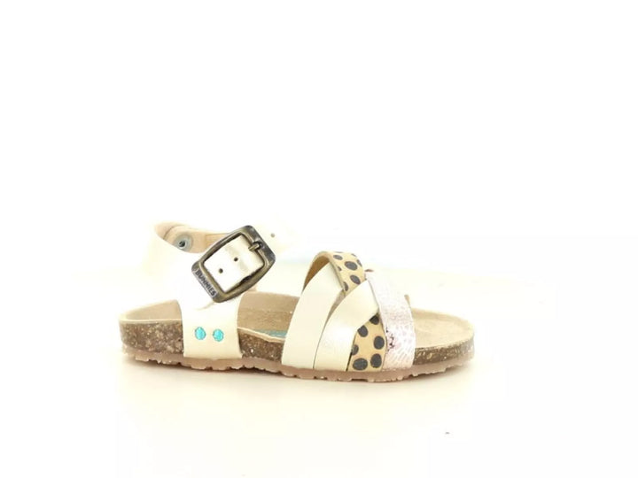 Bunnies Bunnies Becky Beach