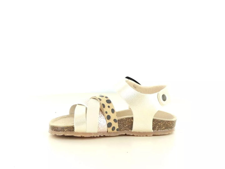 Bunnies Bunnies Becky Beach