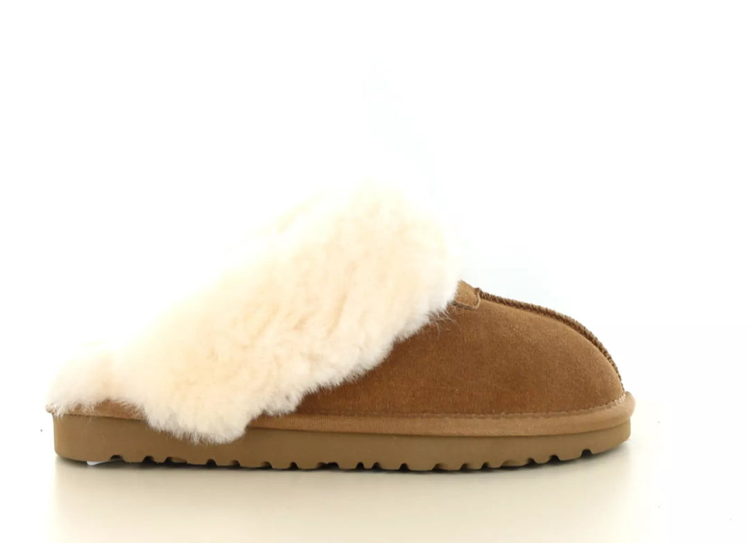 Hafjes Hafjes Cozzia