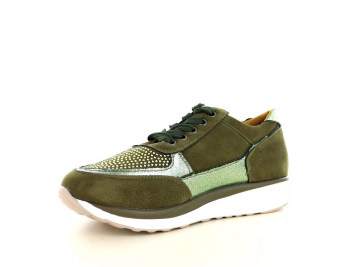 Hafjes Modena 237.70.114