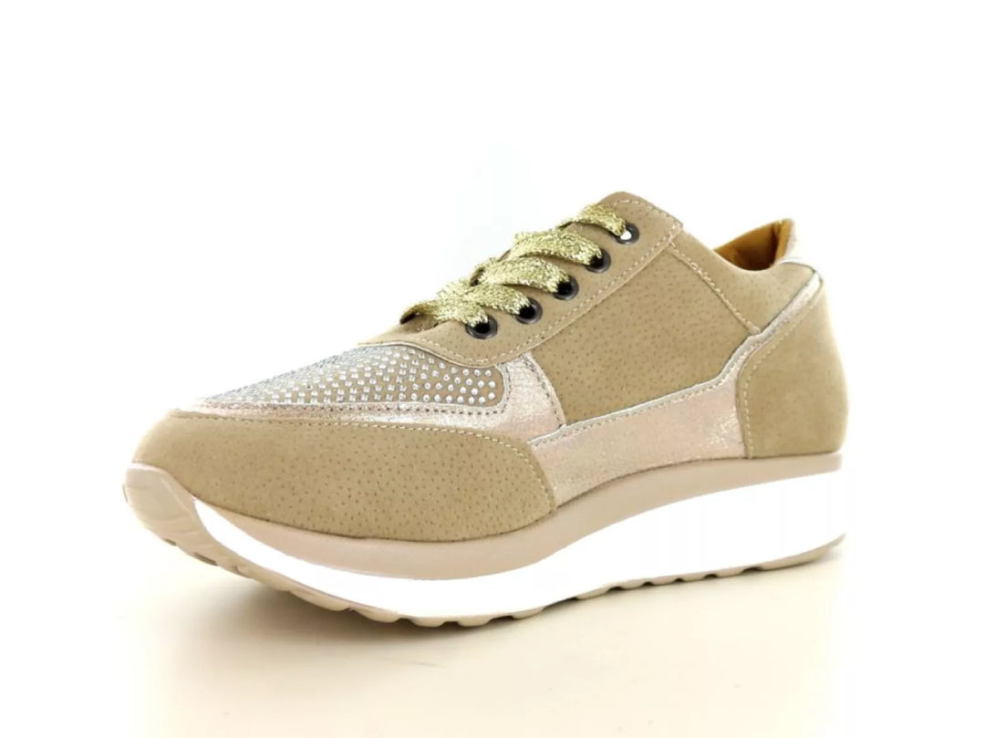 Hafjes Modena 237.40.117