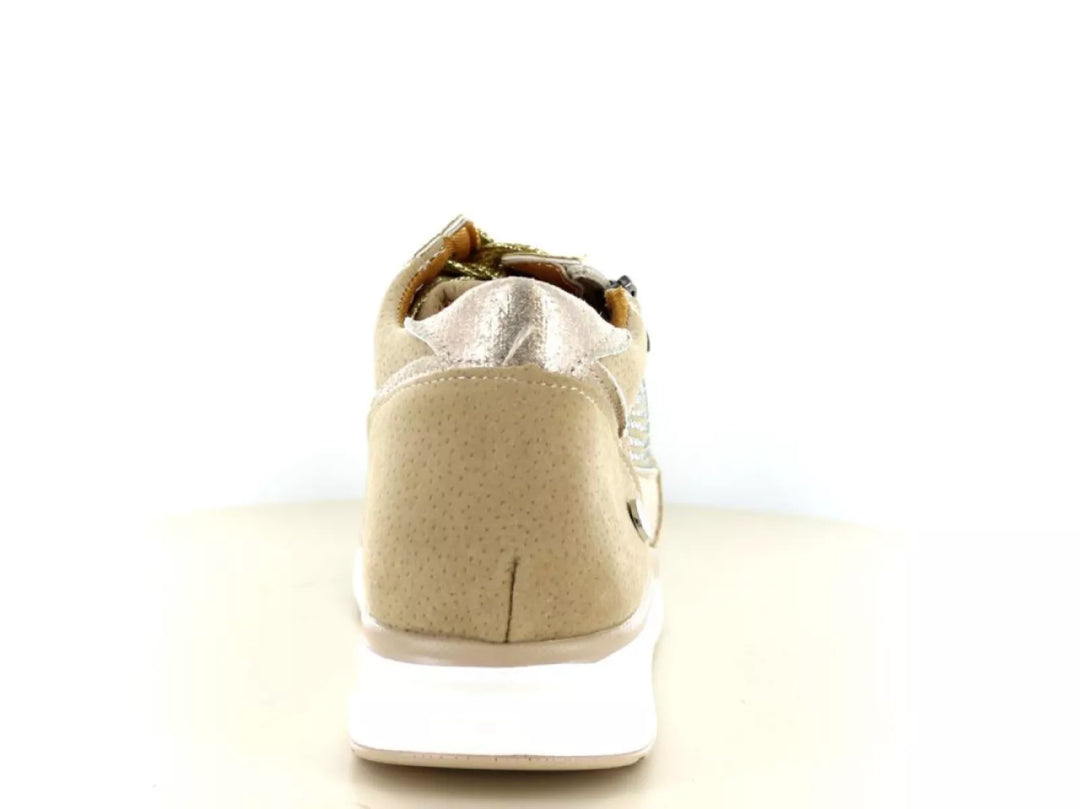 Hafjes Modena 237.40.117