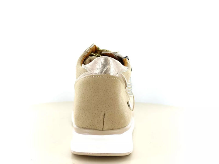 Hafjes Modena 237.40.117