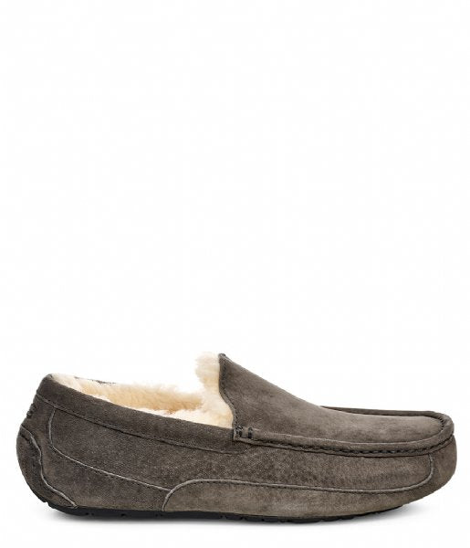 543.20.002 Ascot 543.20.002 Ugg Australia 139.90 Hafkamp Modeschoenen